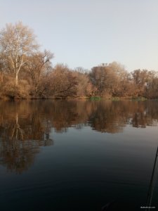 IMG_20191020_085657.jpg