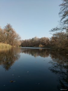 IMG_20191020_114647.jpg