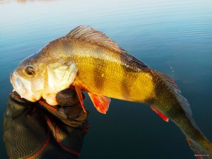 IMG_20191021_121326.jpg