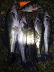 IMG-4bc52c4fc479a120f0cea06656fb0cc9-V.jpg