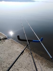 IMG_20191020_115810.jpg