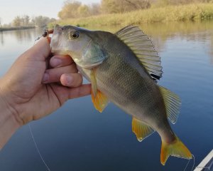 IMG_20191020_111955.jpg