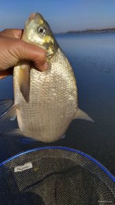 IMG_20191021_104356.jpg