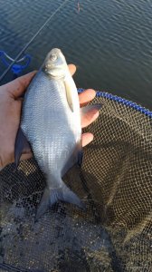 IMG_20191021_103140.jpg