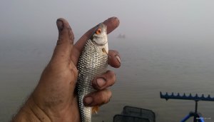 IMG_20191020_093302.jpg