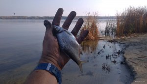 IMG_20191020_133942.jpg