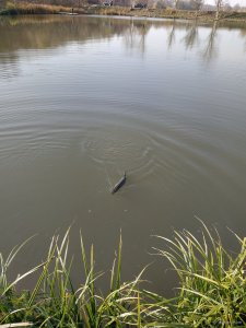 IMG_20191020_125023.jpg
