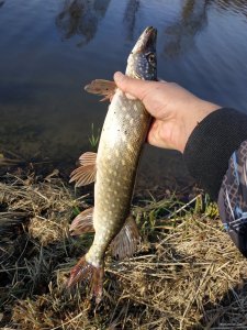 IMG_20191020_143733.jpg