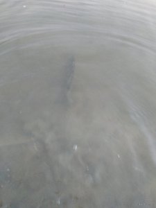IMG_20191021_173830.jpg