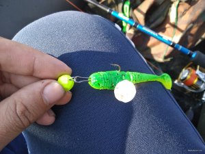 IMG_20191021_095737.jpg