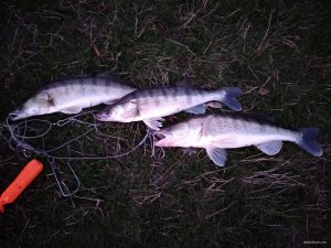 IMG_20191021_175211.jpg