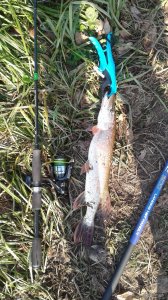 20191019_100031.jpg