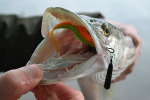DSC_0634.JPG