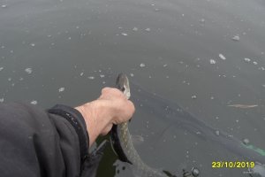 SAM_1116.JPG