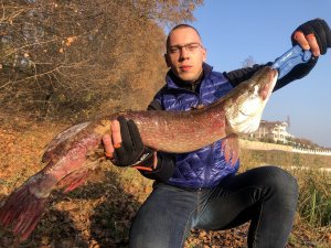 IMG_7328.JPG