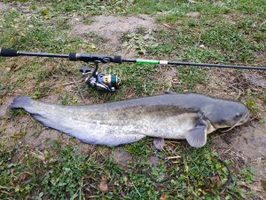 IMG_20191024_182620.jpg