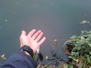 IMG_20191025_085524.jpg