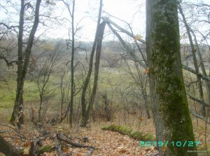 PICT0027.JPG