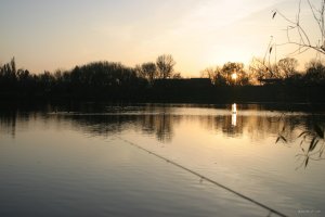 IMG_6130.JPG