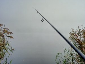P91026-092108.jpg