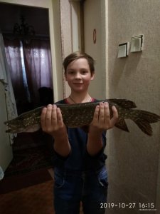 изображение_viber_2019-10-27_16-21-14.jpg