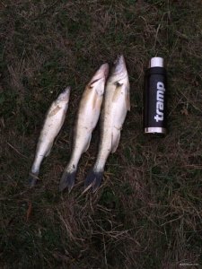 IMG_0900[1].JPG