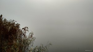 IMG_20191026_083153.jpg