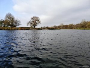 IMG_20191027_084212.jpg