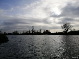 IMG_20191027_084219.jpg