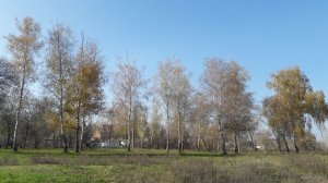 20191027_114727.jpg