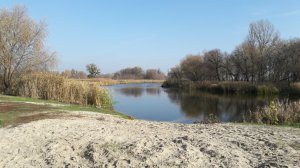 20191027_114511.jpg