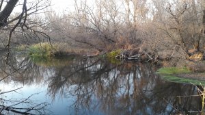 20191027_153755.jpg