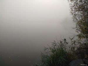 IMG_20191026_082240.jpg