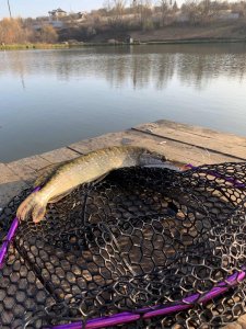 IMG_7CAAACC1F8FD-1.jpeg