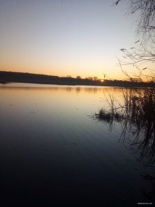 IMG_20191031_062932.jpg