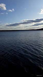 20191031_134810.jpg