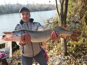 IMG_20191102_132258.jpg