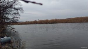 IMG_20191103_091833038.jpg