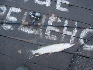 IMG_1249.JPG