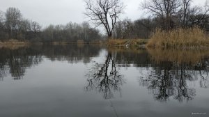 IMG_20191107_130946.jpg