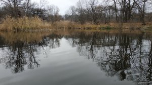 IMG_20191107_130948.jpg