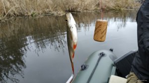IMG_20191107_081914.jpg
