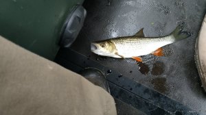 IMG_20191107_085841.jpg