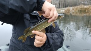 IMG_20191107_075159.jpg