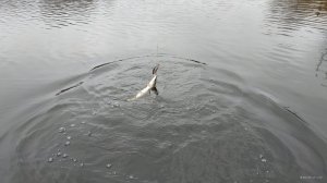 IMG_20191107_105311.jpg