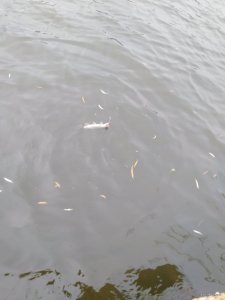 IMG_20191108_100620.jpg
