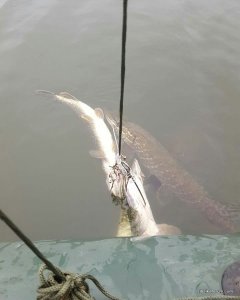 IMG_20191110_192526_079.jpg