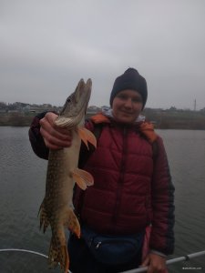 IMG_20191110_142532.jpg