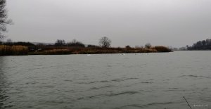 IMG_20191110_095242.jpg