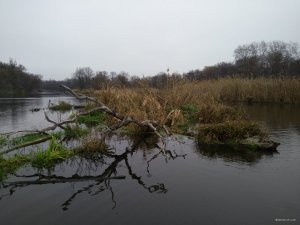 IMG_20191110_090147.jpg